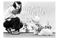 《文明养犬公约》发布 “文明养犬在行动”主题活动全面启动