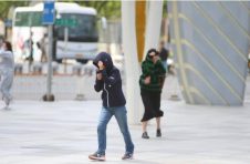 谨防感冒！北京昼夜温差较大，最高气温24.1℃，阵风6级