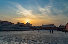 北京冬季景观增种补植将于明年1月中下旬完成