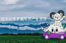 中国（宁夏）国际葡萄酒文化旅游博览会将与酒界“奥斯卡”同期举行